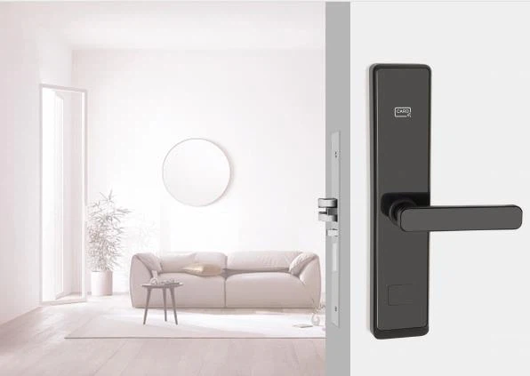 36020251020154709529 36020251020154709529